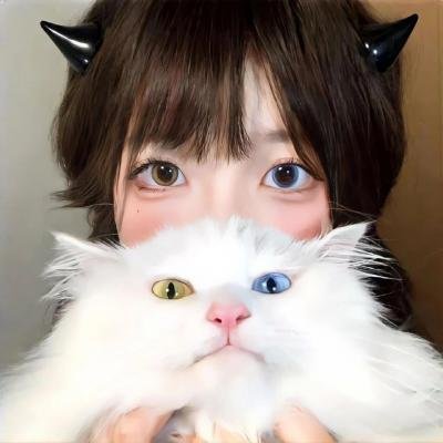 龙与虎